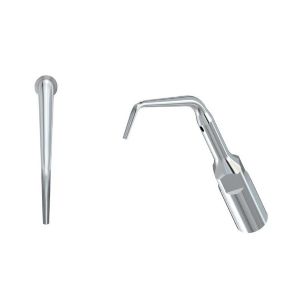 Due punte scaler ED10-INSERTO ABLATORE in metallo, vista laterale e frontale.