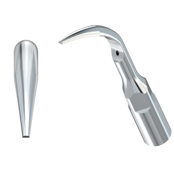 Due punte per scaler G1-INSERTO ABLATORE: una dritta e una curva, entrambe metalliche.