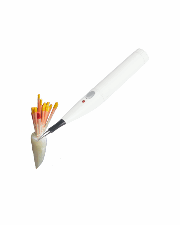 C-BLADE applica punti di guttaperca su un modello di dente, raffigurato su uno sfondo bianco.