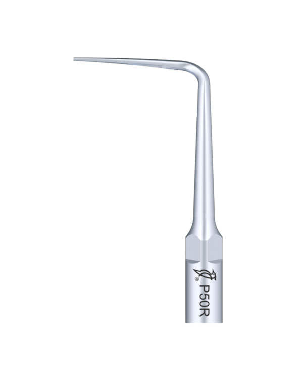 Punta metallica per ablatore dentale P50R-INSERTO ABLATORE, raffigurata su sfondo bianco.