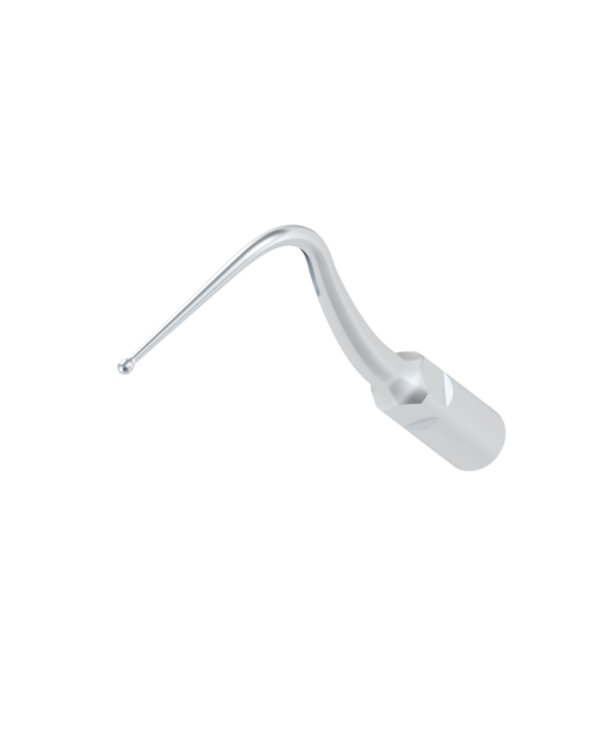 P58-INSERTO ABLATORE: punta metallica per ablatore dentale, curva e appuntita per una maggiore precisione.